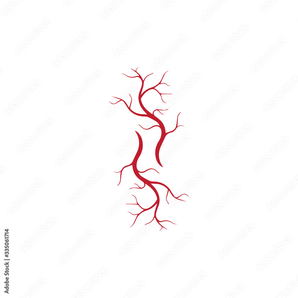 human veins, red blood vessels design and arteries Vector illustration isolated human veins, red blood vessels design and arteries Vector illustration isolated