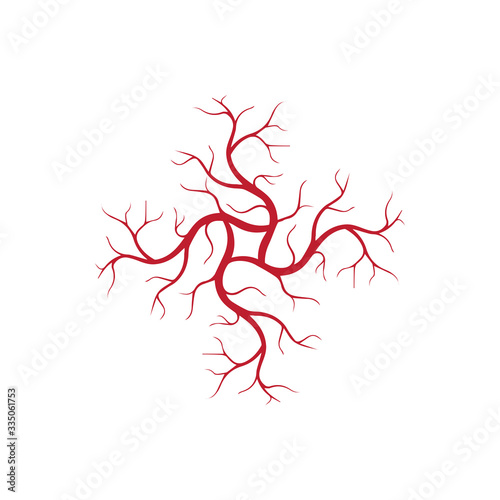 human veins  red blood vessels design and arteries Vector illustration isolated