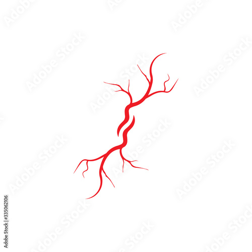 human veins  red blood vessels design and arteries Vector illustration isolated