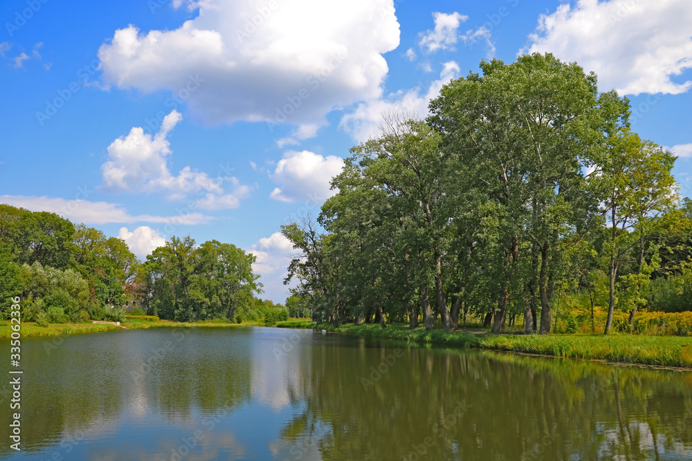 Fototapeta premium A small pond surrounded by greenery on a clear sunny day.
