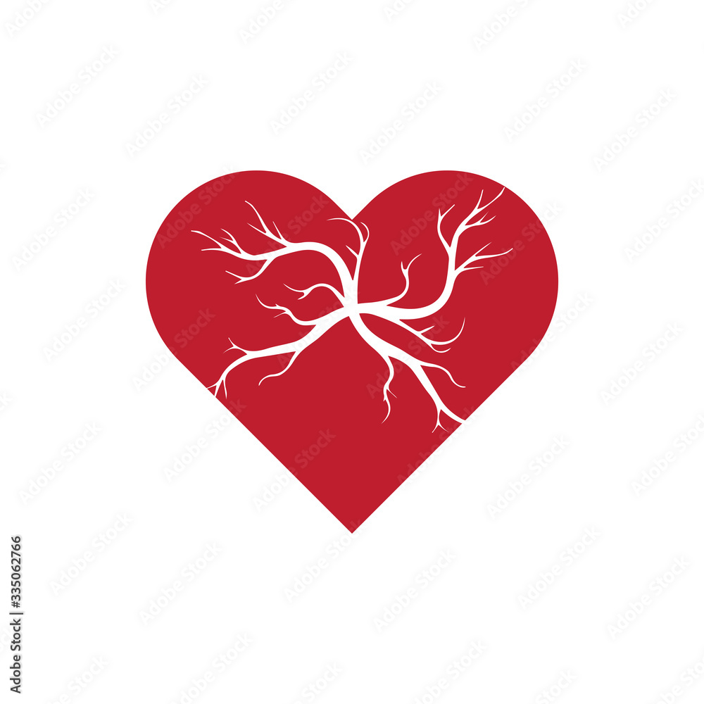 human veins, red blood vessels design and arteries Vector illustration isolated