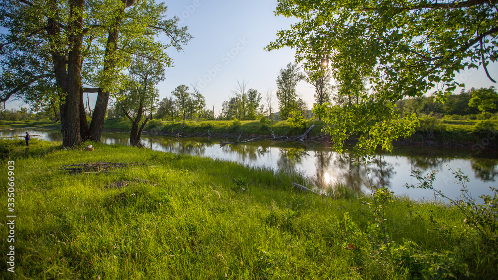 lake and its shores with bushes and trees in the afternoon on a sunny day lake and its shores with bushes and trees in the afternoon on a sunny day