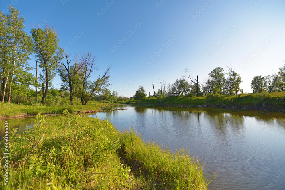 lake and its shores with bushes and trees in the afternoon on a sunny day lake and its shores with bushes and trees in the afternoon on a sunny day