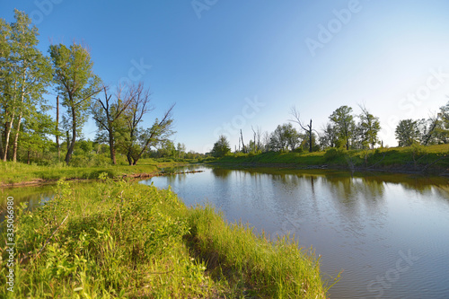 lake and its shores with bushes and trees in the afternoon on a sunny day