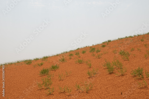 Pink Sands National Park 