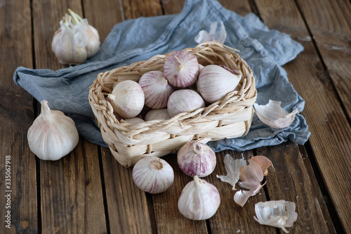 White round garlic lies in a wicker basket on a brown wooden background with a blue napkin. Close-up photo