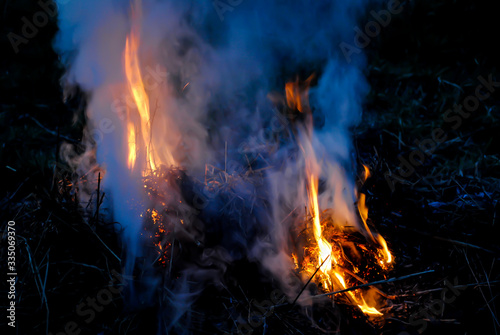 Fire hot forrest bonfire