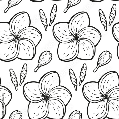 Hand drawn abstract seamless pattern with plumeria flowers and buds. Exotic tropical flower isolated on a white background. Cute template for cards, fabric, wrapping paper. Vector illustration
