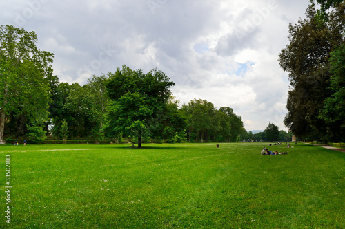 Firenze, Le Cascine park. A nice tree stands alone in a wide green meadow