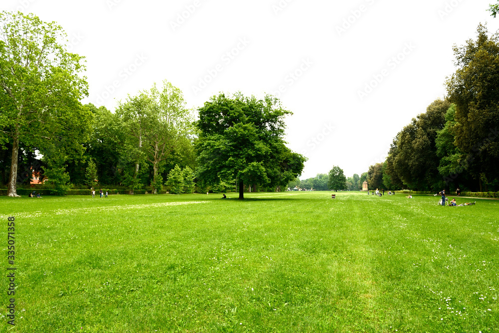 Firenze, Le Cascine park. A nice tree stands alone in a wide green meadow Firenze, Le Cascine park. A nice tree stands alone in a wide green meadow