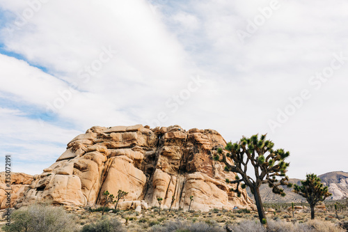 Desert Landscape