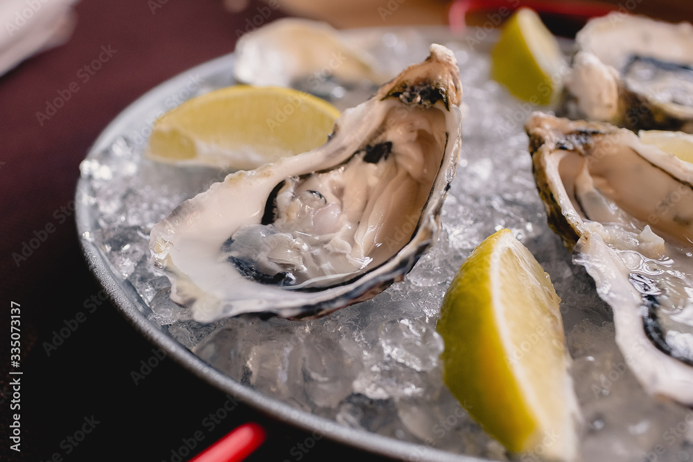 Plate with oysters, lemon and ice