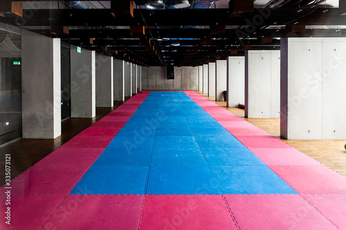 Φωτογραφία Gymnasium for martial arts training with tatami mat