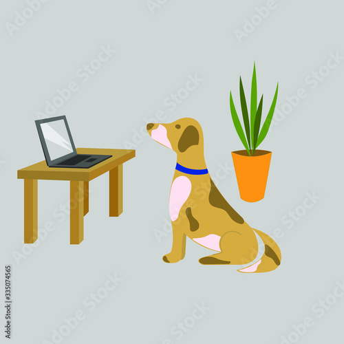 The dog and the laptop