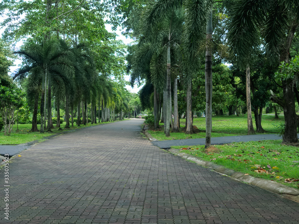 Empty walking paths in the city Park on the weekend. Quarantine mode Empty walking paths in the city Park on the weekend. Quarantine mode