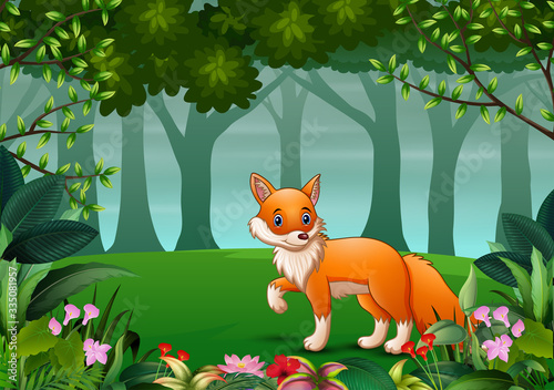 A fox looking for prey at forest scene