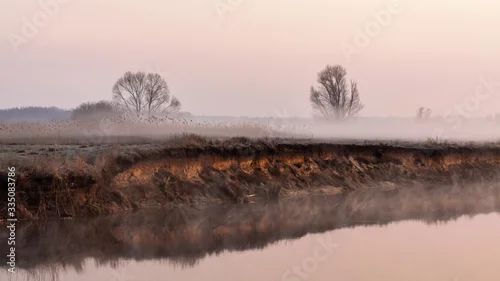 Obraz Poranek nad Narwią. Rzeka Narew. Piekne Podlasie. Polska