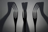 fork  on a plate