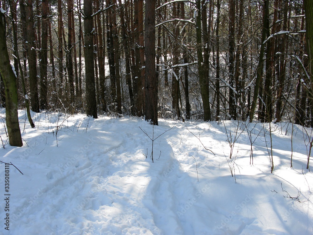 Winter Winter