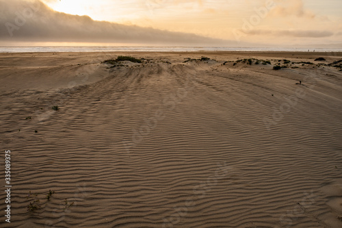 Windswept beach at sunset