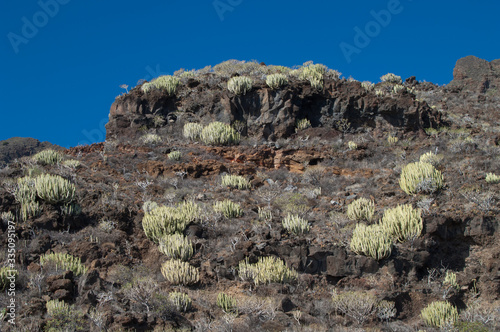 Rocky cliff. Timijiraque Protected Landscape. Valverde. El Hierro. Canary Islands. Spain.	 photo