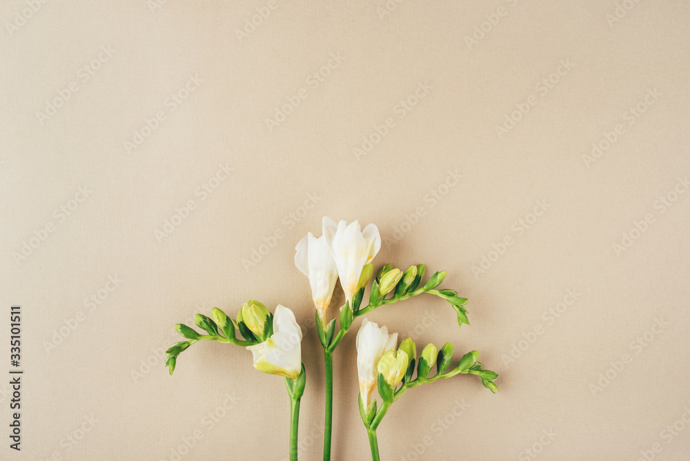 Floral background. Freesia flowers on a beige background. Minimal concept. Flat lay, top view.