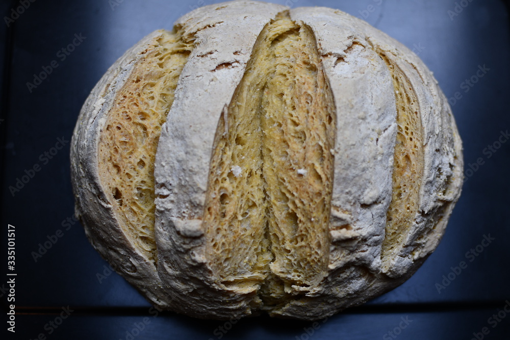 Fototapeta premium Pane