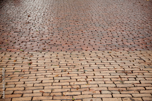 Old pavement of the streets in Savannah, Georgia, USA