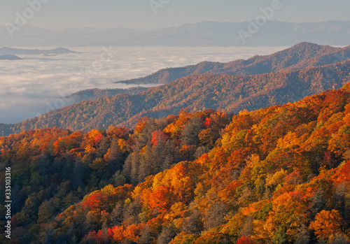 Autumn landscape of the Smoky Mountains in fog, Deep Creek Overlook, Great Smoky Mountains National Park, North Carolina, USA