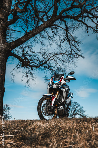 2020 Africa Twin under a tree 1