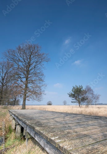 Landscape scene blue sky, bridge in foreground, color in nature, wide angle lens shot