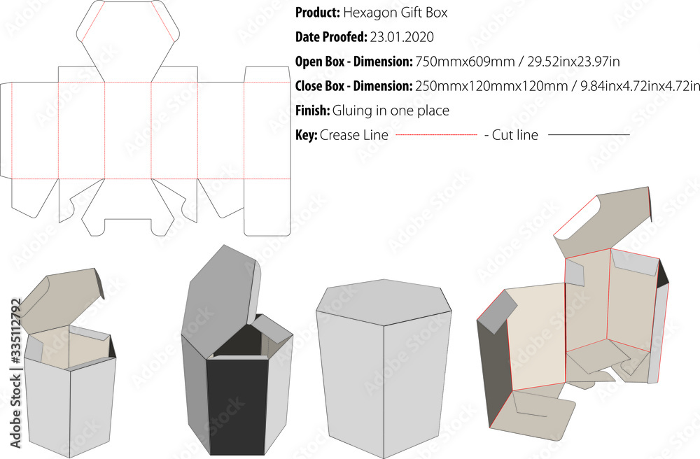 hexagon box template vector