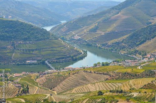 aerial view of vineyards