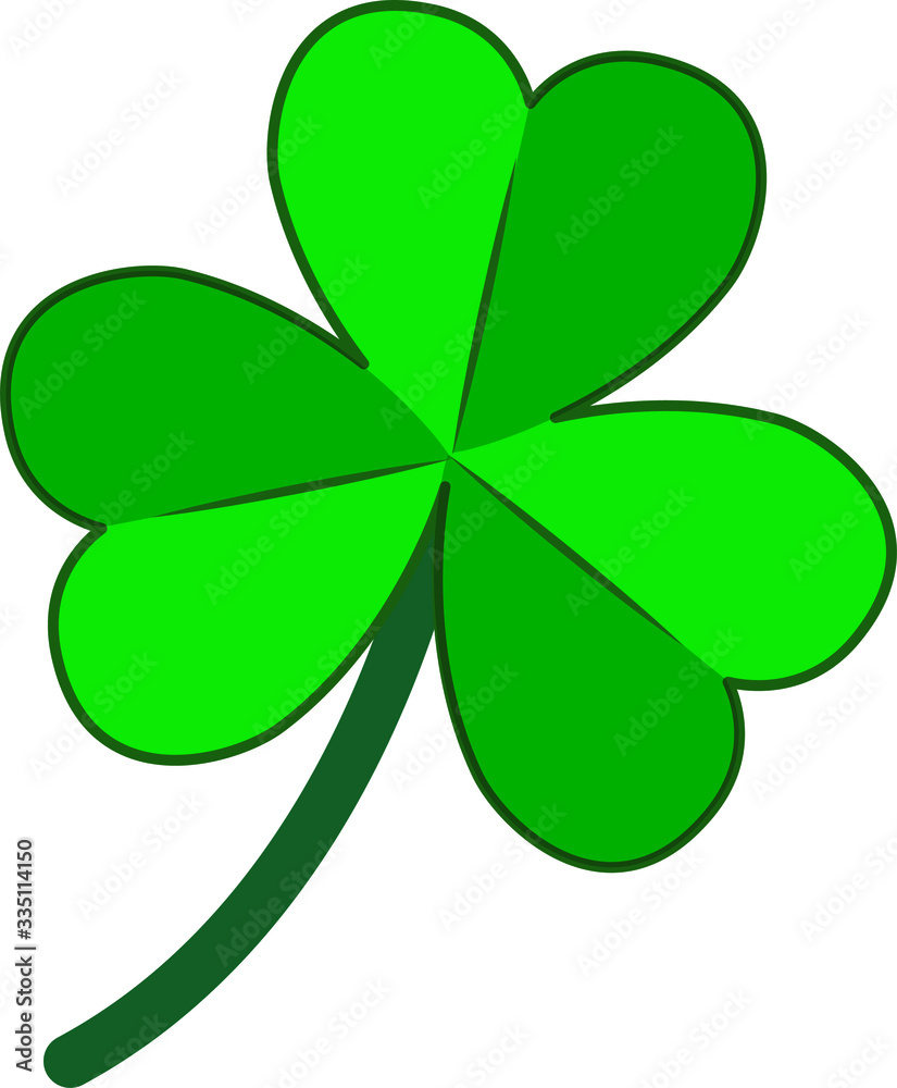 Illustration of clover, with white background vector