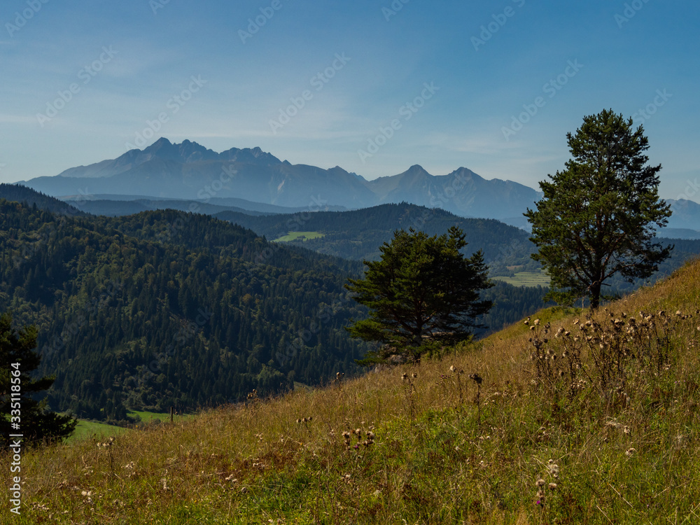 Beautiful summer panorama over Spisz highland to Tatra mountains, Poland