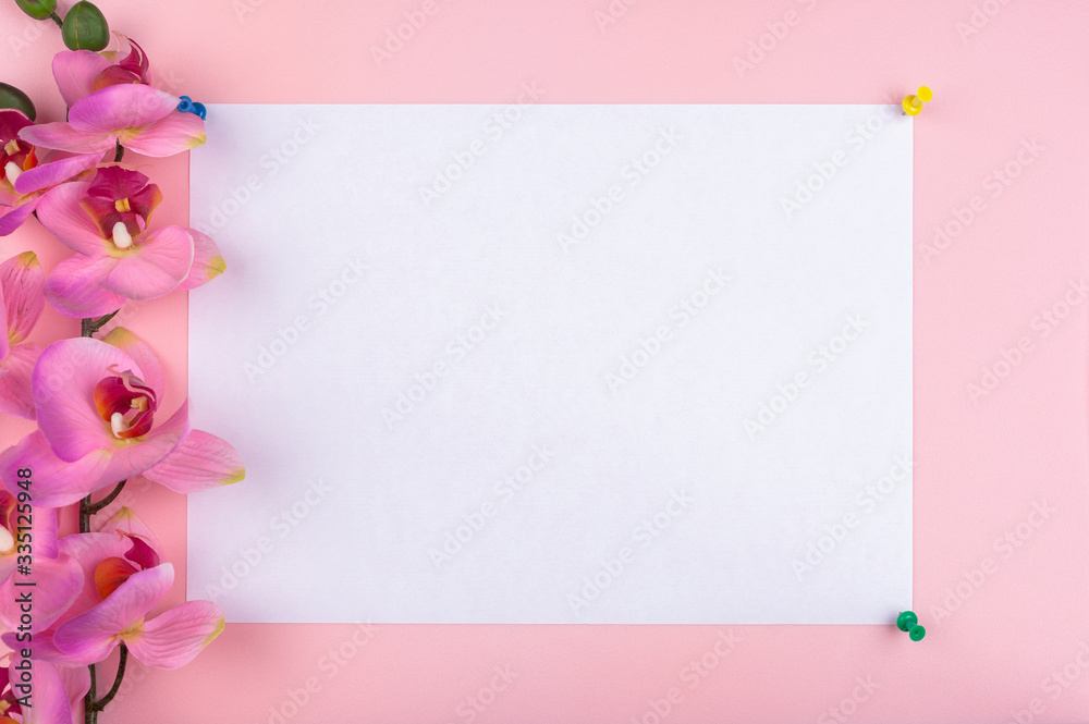 a white sheet is attached with push pins to a pink background. Side view of a pink orchid a white sheet is attached with push pins to a pink background. Side view of a pink orchid
