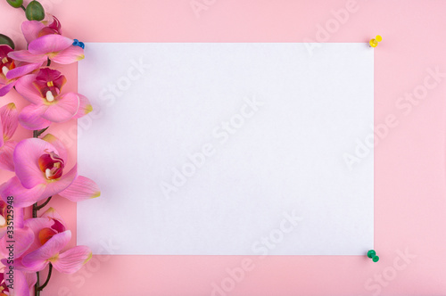 a white sheet is attached with push pins to a pink background. Side view of a pink orchid © glavbooh