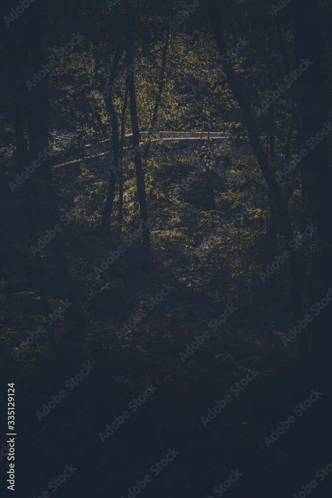 Fototapeta premium Napoleon's bridge on Nadige river in Kobarid region in Slovenia. Beautiful stone bridge over Nadige river hiding behind trees