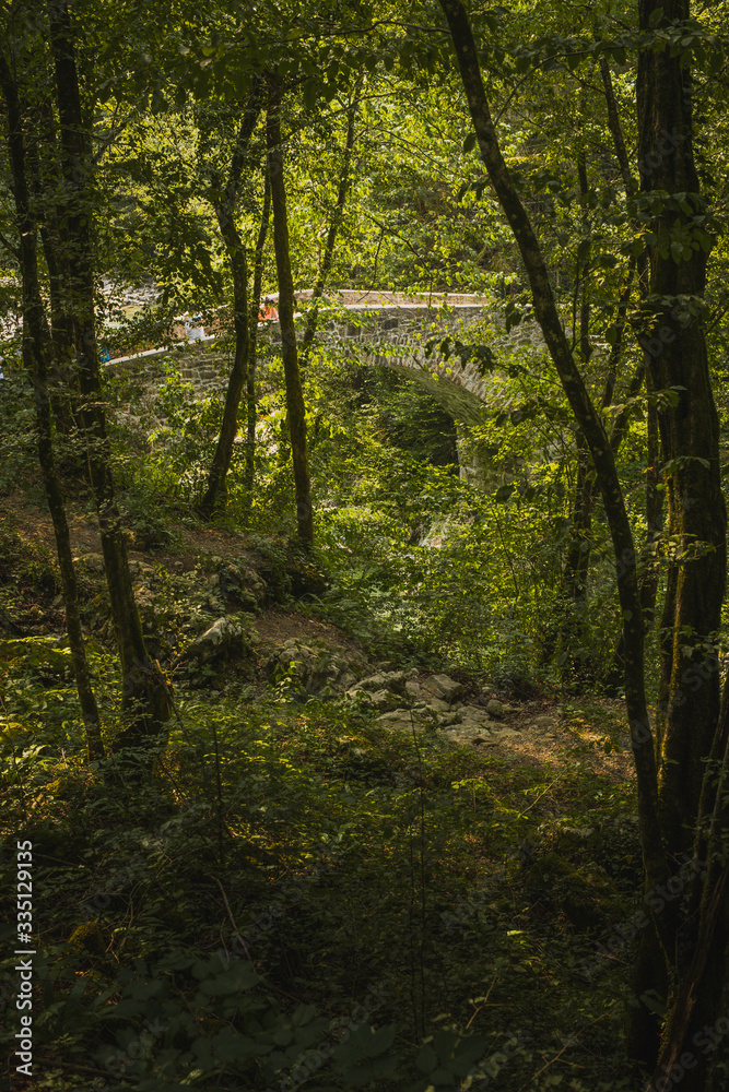 Obraz premium Napoleon's bridge on Nadige river in Kobarid region in Slovenia. Beautiful stone bridge over Nadige river hiding behind trees