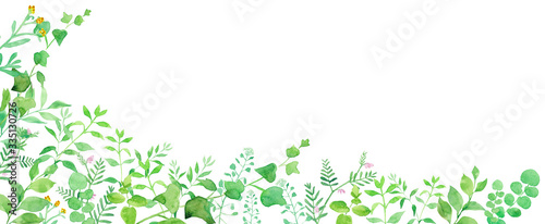 グリーンの草花の横長装飾フレーム 水彩イラスト