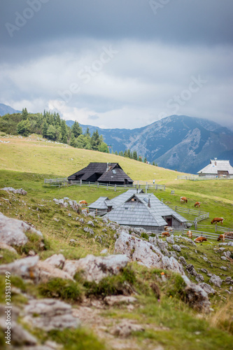 mountain landscape in the alps, Velika planina