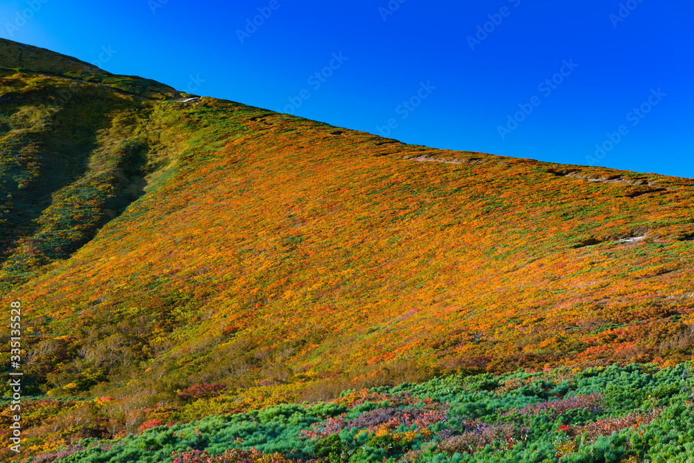 快晴の栗駒山全山紅葉　神の絨毯