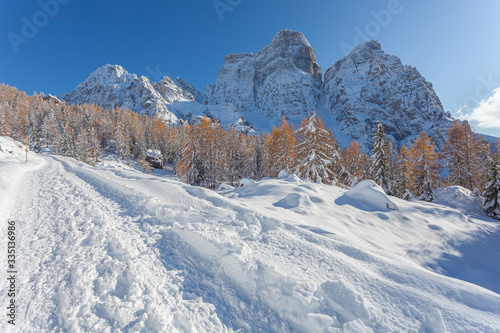 Snowy path with Mount Pelmo northern side and larch forest in the background  Dolomites  Italy. Concept  winter landscapes  Christmas atmosphere  winter travel  calm and serenity