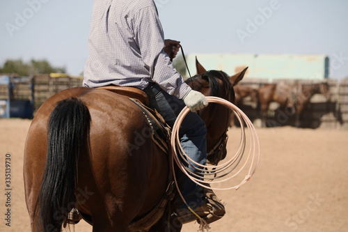 Western rodeo lifestyle shows rider on bay horse with rope for team roping practice in outdoor arena.
