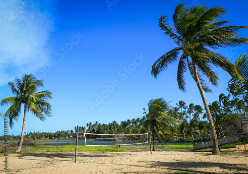 Beach volleybal court surounded by palm trees photo