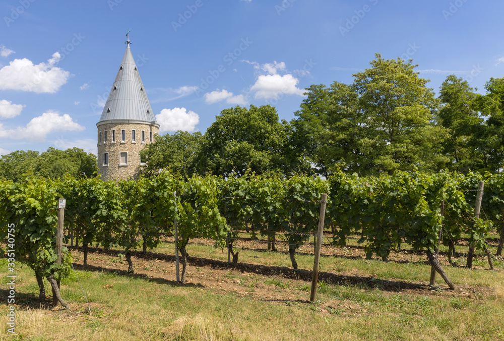 Floersheimer tower in the vineyards of the Wicker district