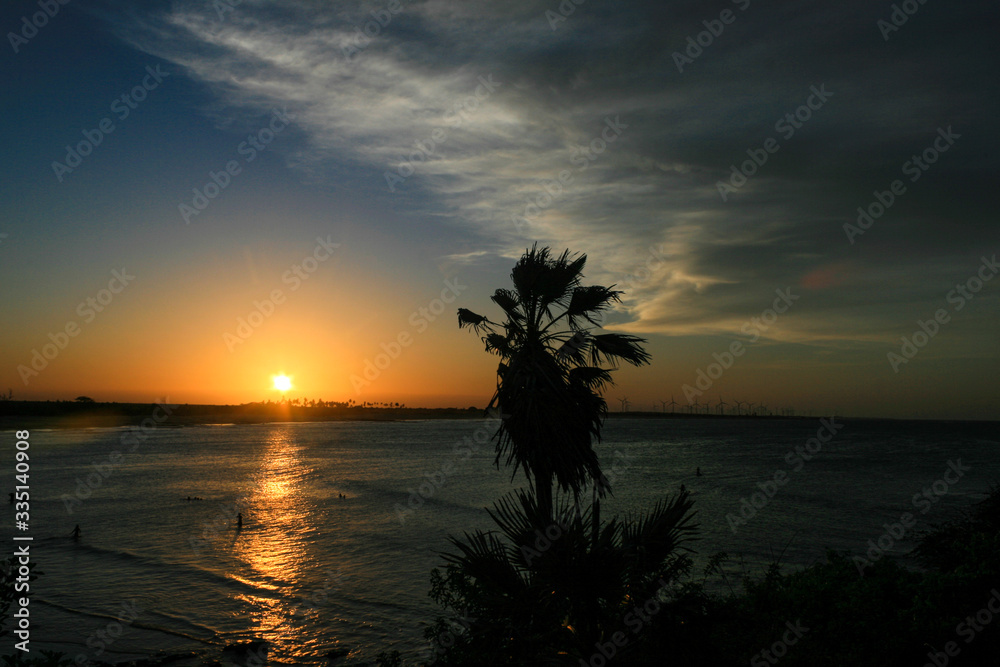Silhouettes of trees on the sunset on the beach.