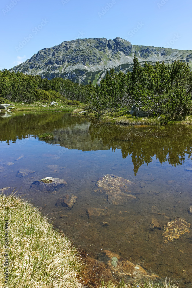 Fototapeta premium Small lakes near The Fish Lakes, Rila mountain, Bulgaria