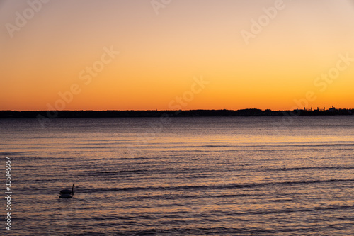 Sunset over Oresund with swans and Denmark at horizon, location is Domsten beach in Scania, Sweden photo