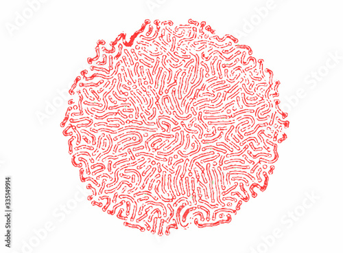 microscopic image of red bacterias